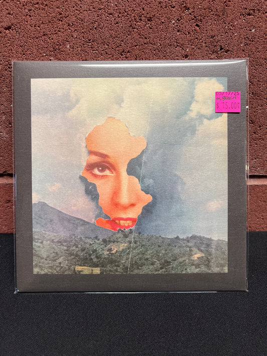 Used Vinyl: Michael Beach / Bitch Diesel "Split" 7"