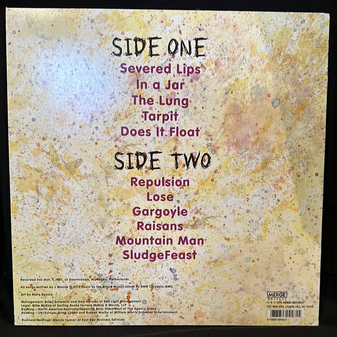 Used Vinyl: Dinosaur Jr. ”Chocomel Daze” LP – 1-2-3-4 Go! Records