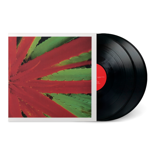 PRE-ORDER: Jejune "This Afternoons Malady" 2xLP