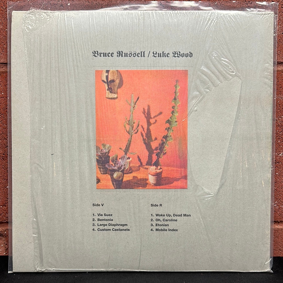 Used Vinyl:  Bruce Russell, Luke Wood ”Visceral Realists” LP