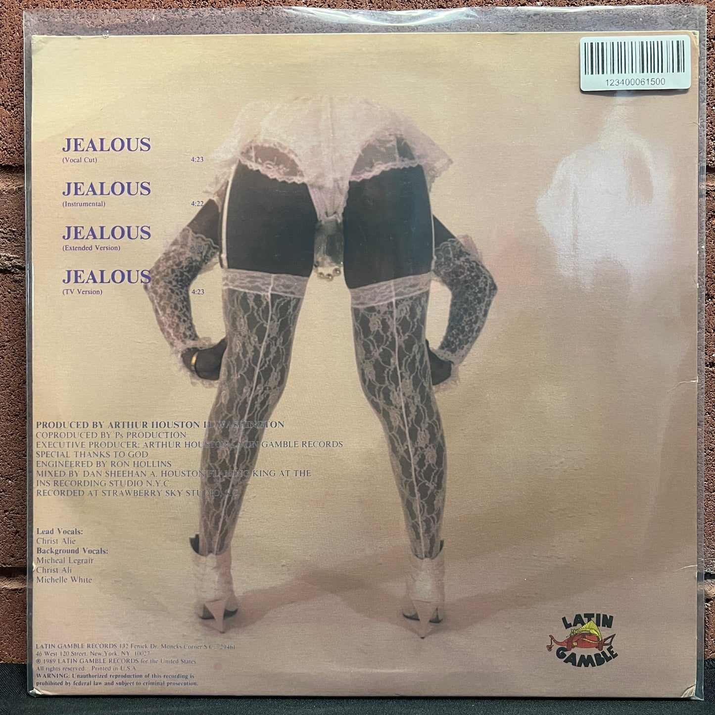 Used Vinyl: Houston And Too Mild "Jealous" 12" (1989 Press)