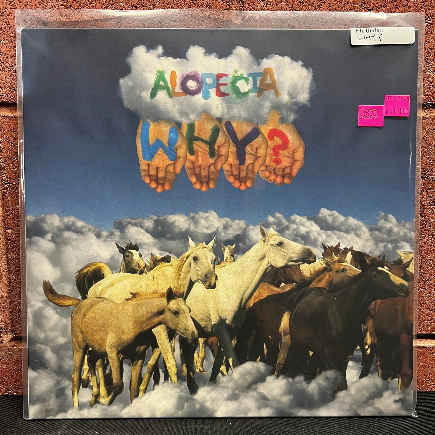 Used Vinyl: Why? "Alopecia" LP (2008 Press)