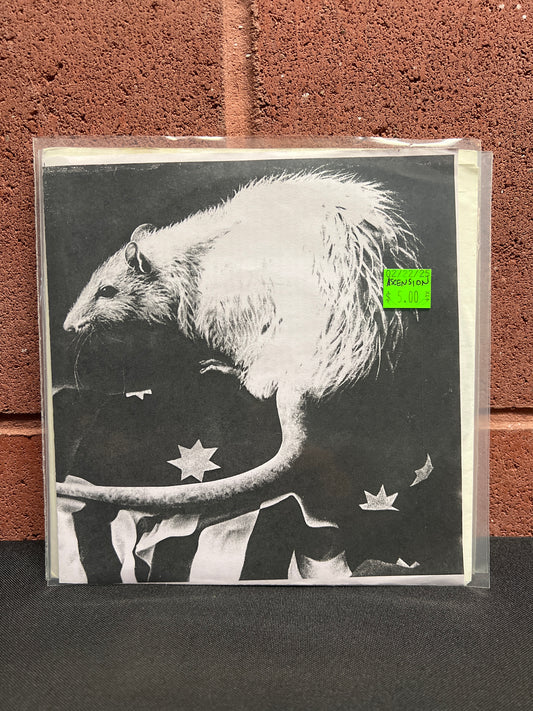 Used Vinyl: Ascension / Broken Lightbulb Anal Fetish "12 / The Tool Shed In Winter" 7"