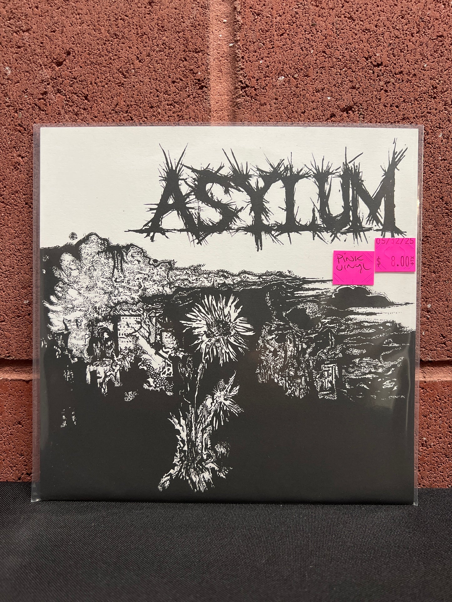 Used Vinyl: Asylum "S/T" 7" (Pink Vinyl)