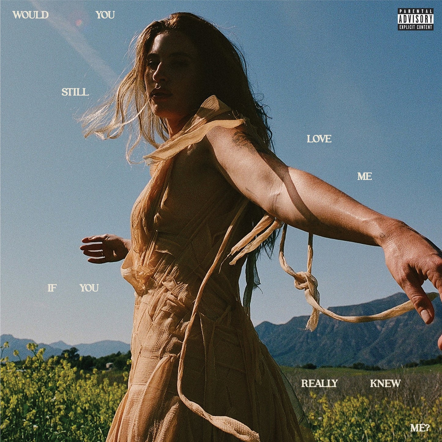 FLETCHER "Would You Still Love Me If You Really Knew Me?" LP