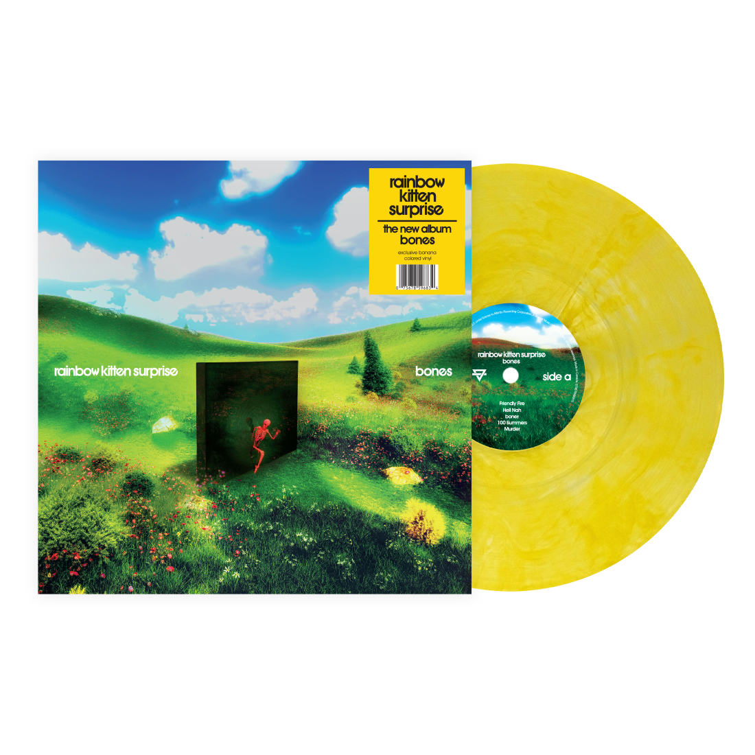 Rainbow Kitten Surprise "bones" LP (Indie Exclusive Banana Vinyl)