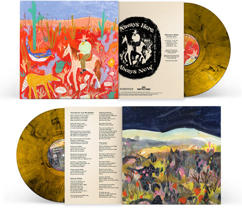 PRE-ORDER: Trampled By Turtles & Dead Man Winter "Always Here / Always Now" LP (Color Vinyl)