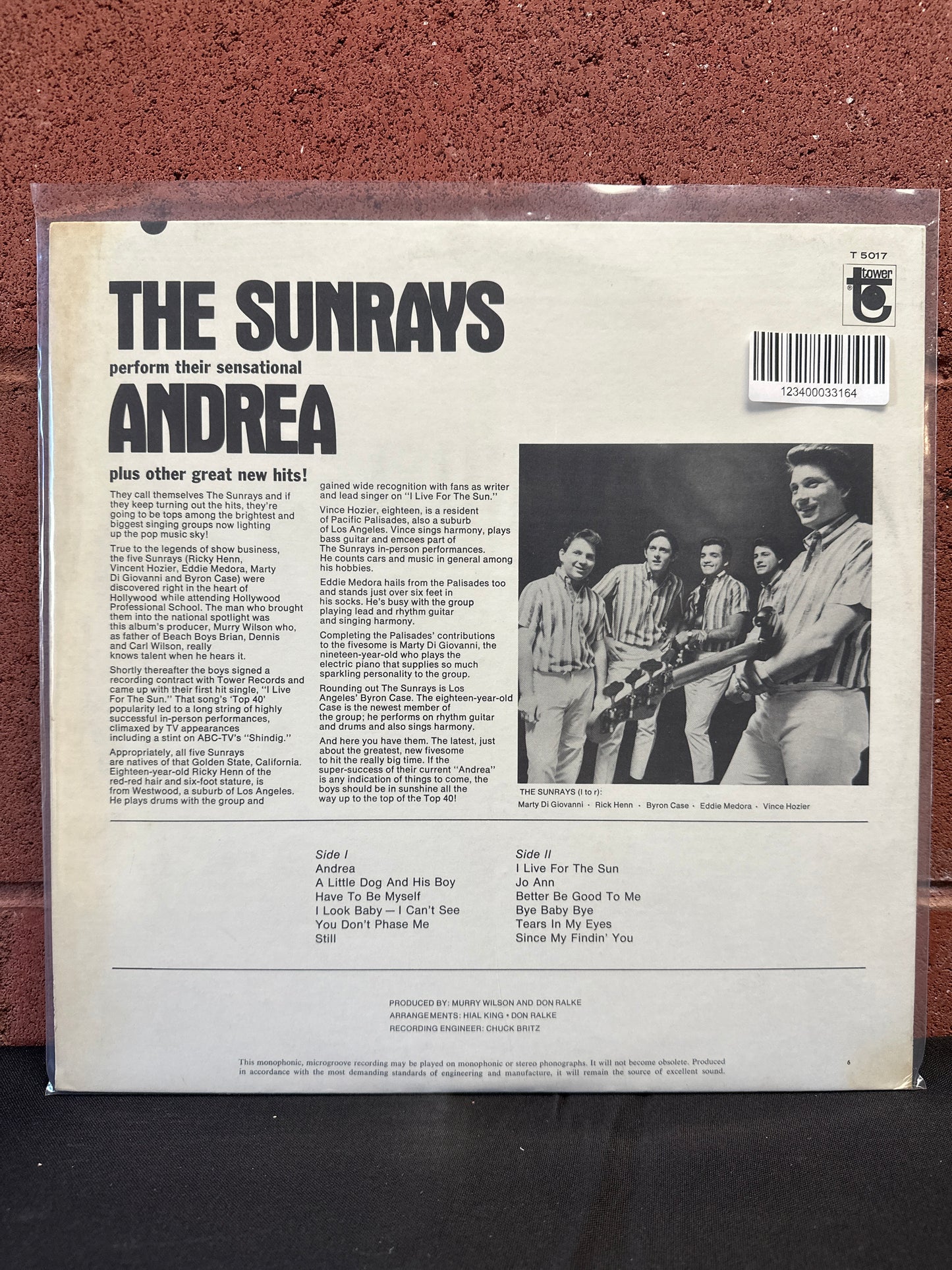 Used Vinyl:  The Sunrays ”Andrea” LP