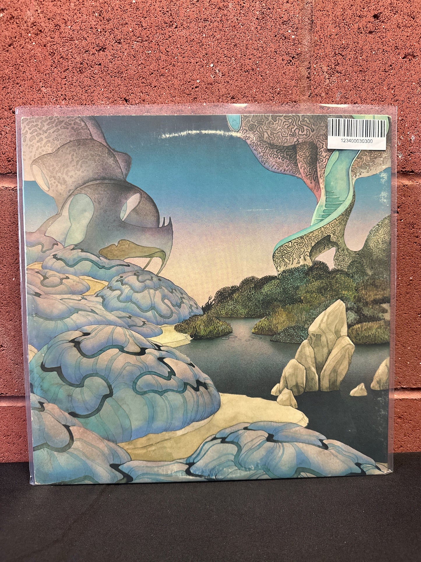 Used Vinyl:  Steve Howe ”Beginnings” LP