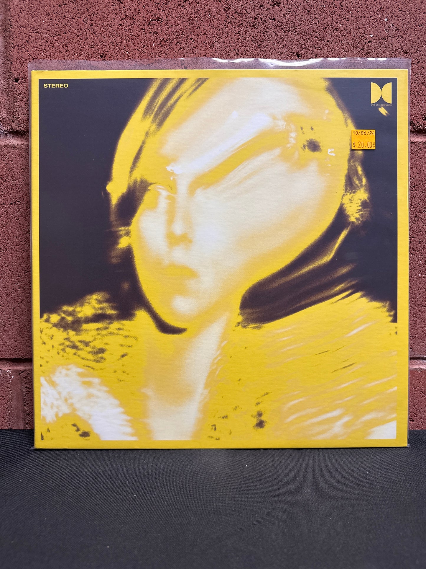 Used Vinyl:  Ty Segall ”Twins” LP