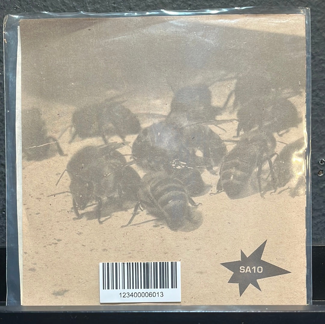 USED VINYL: Brown Supper “Quarantine The Aliens” 7"