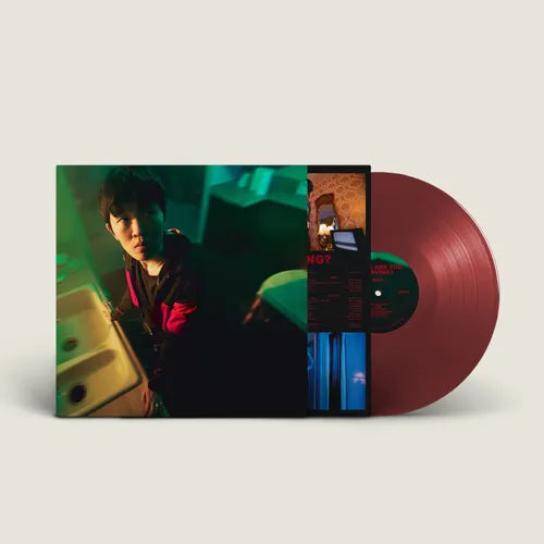 NoSo "When Are You Leaving?" LP (Oxblood Vinyl)