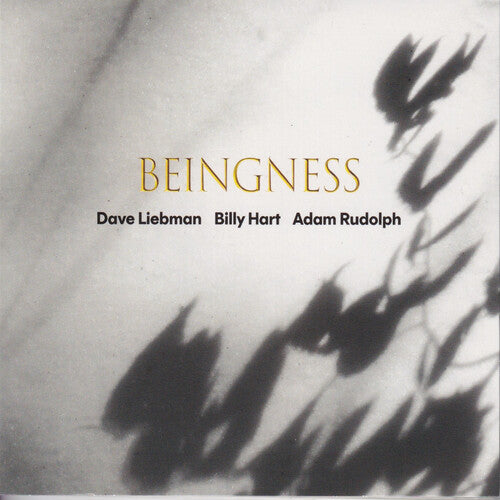 PRE-ORDER: Dave Liebman, Billy Hart, Adam Rudolph "Beingness" LP (180g Cream Vinyl)