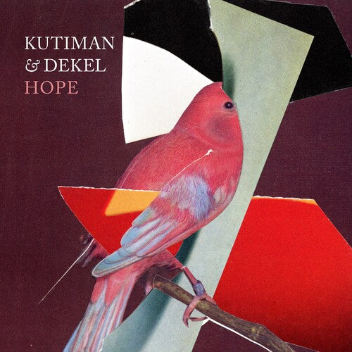 PRE-ORDER: Kutiman & Dekel "Hope" LP