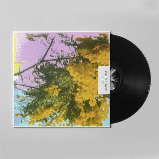 Four Tet "Into Dust (Still Falling)” 12" Single (Indie Exclusive)