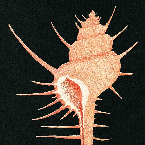 PRE-ORDER: Veg "Adrift In Time" LP