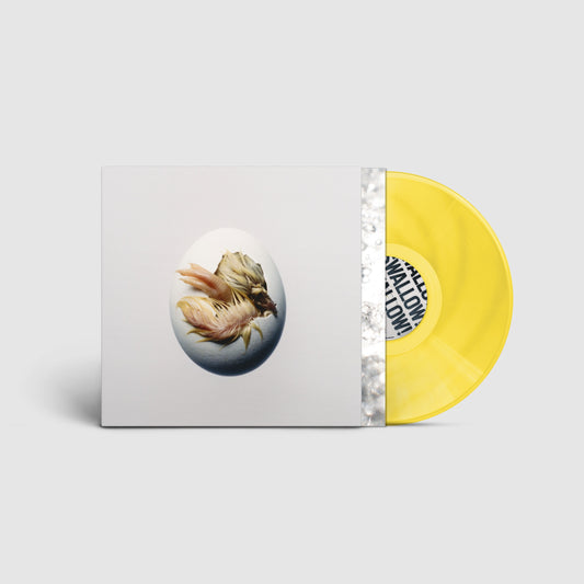 PRE-ORDER: Shygirl "SWALLOW!" LP (Indie Exclusive Transparent Yellow Vinyl)
