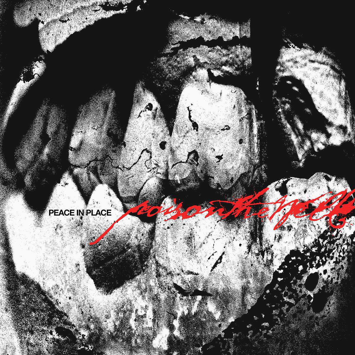 PRE-ORDER: Poison The Well "Peace In Place" CD