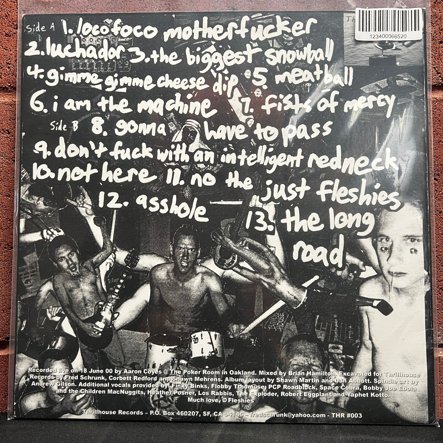Used Vinyl: Fleshies "S/T" LP (2000 Press)