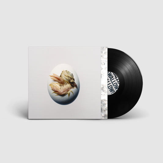PRE-ORDER: Shygirl "SWALLOW!" LP