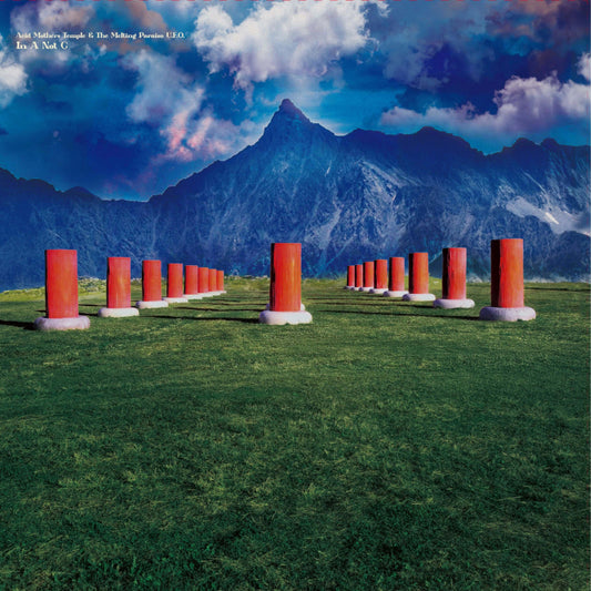 PRE-ORDER: Acid Mothers Temple & The Melting Paraiso U.F.O. "In A Not C" LP