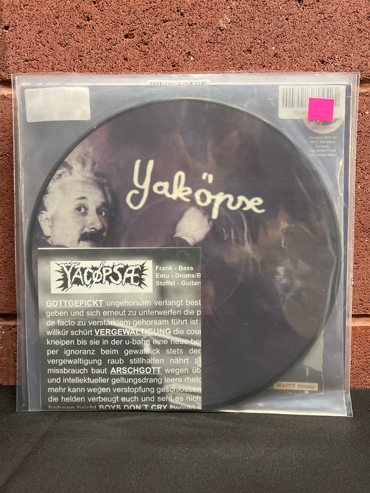 Used Vinyl: Yakopse / Rot "Yakopse / Daily Life Monotony" 10" (Picture Disc)