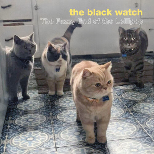 PRE-ORDER: The Black Watch "The Fuzzy End of the Lollipop" LP