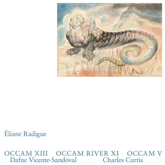 PRE-ORDER: Eliane Radigue "Occam XIII, Occam River XI, Occam V" 2xLP