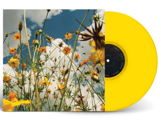 PRE-ORDER: Tasha "You Are Spring!" LP (Yellow Wildflower Vinyl)