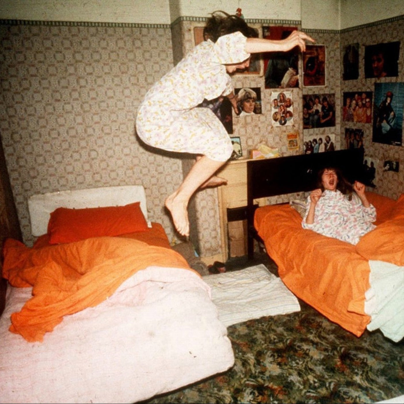 Home Is Where "I Became Birds" LP (Guava Blend Color Vinyl)