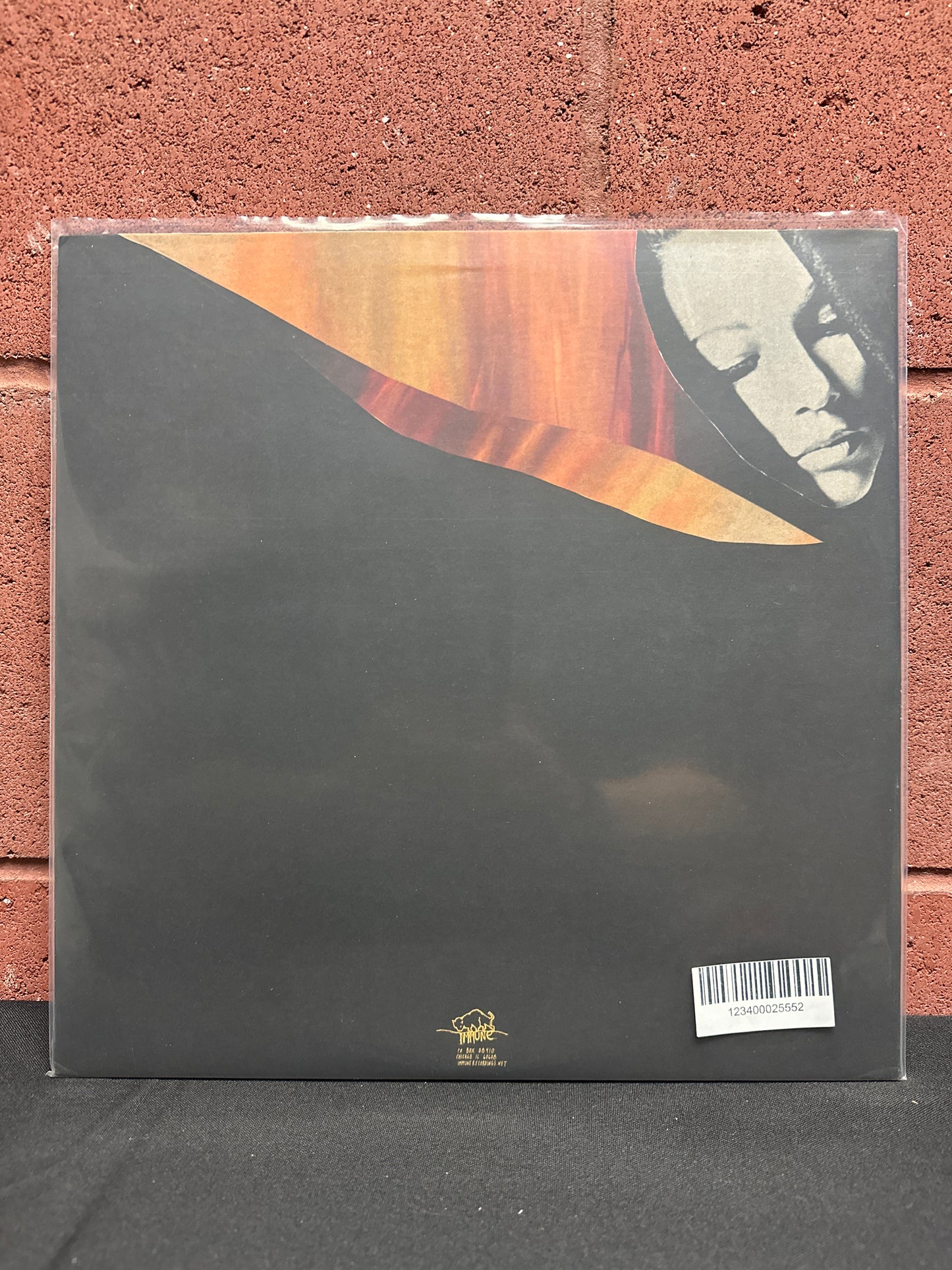 Used Vinyl:  Ilyas Ahmed ”With Endless Fire” LP