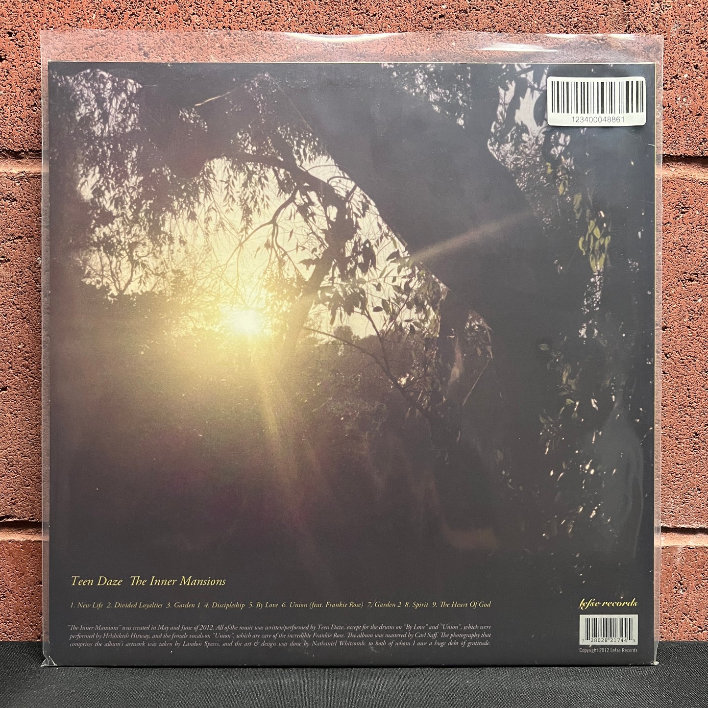 Used Vinyl: Teen Daze "The Inner Mansions" LP