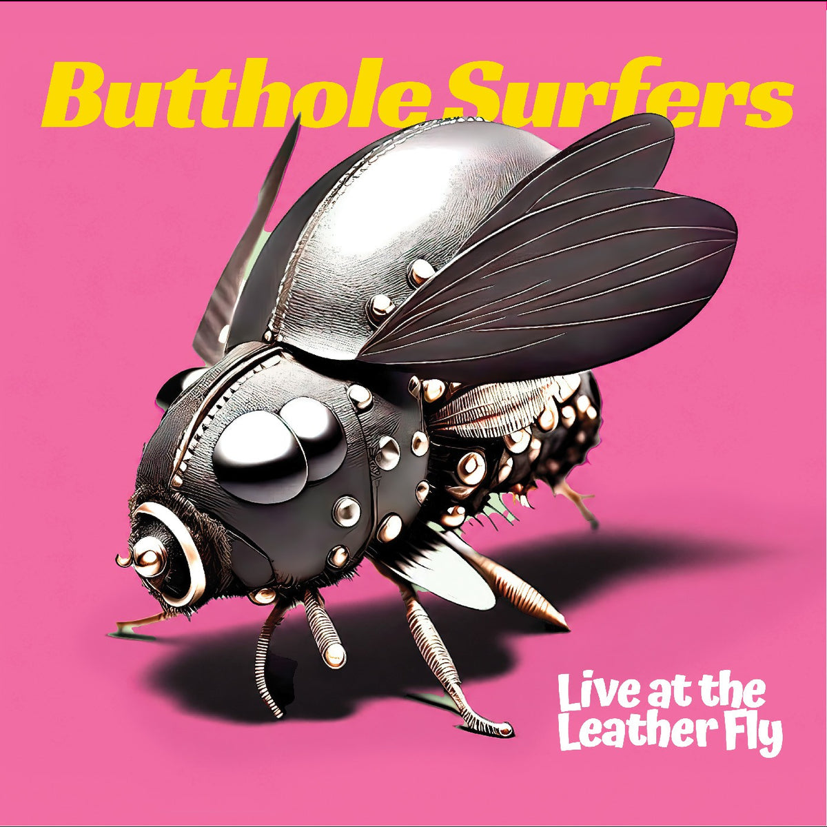 PRE-ORDER: Butthole Surfers "Live at the Leather Fly" LP (Moon Phase Yellow and Red Vinyl)