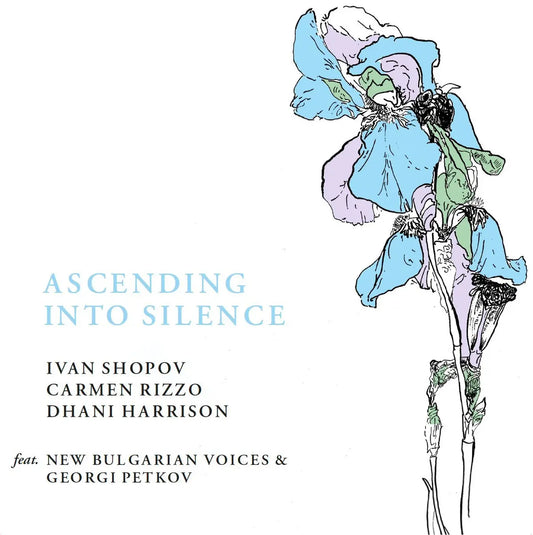 PRE-ORDER: Carmen Rizzo/Dhani Harrison/Ivan Shopov "ascending into silence" LP (Green Vinyl)