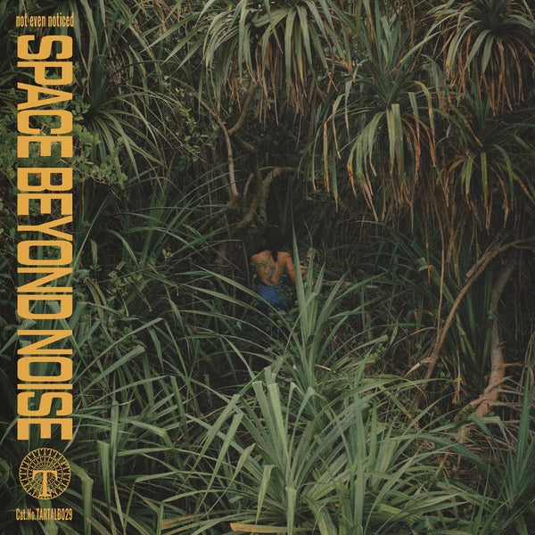 PRE-ORDER: not even noticed "Space Beyond Noise" LP