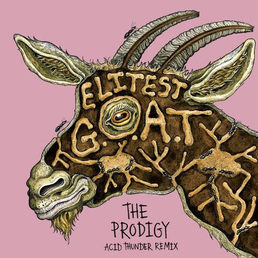 PRE-ORDER: Sleaford Mods & The Prodigy feat. Aldous Harding "Elitest G.O.A.T. (The Prodigy Acid Thunder Mix)" 7" (Gold Vinyl)