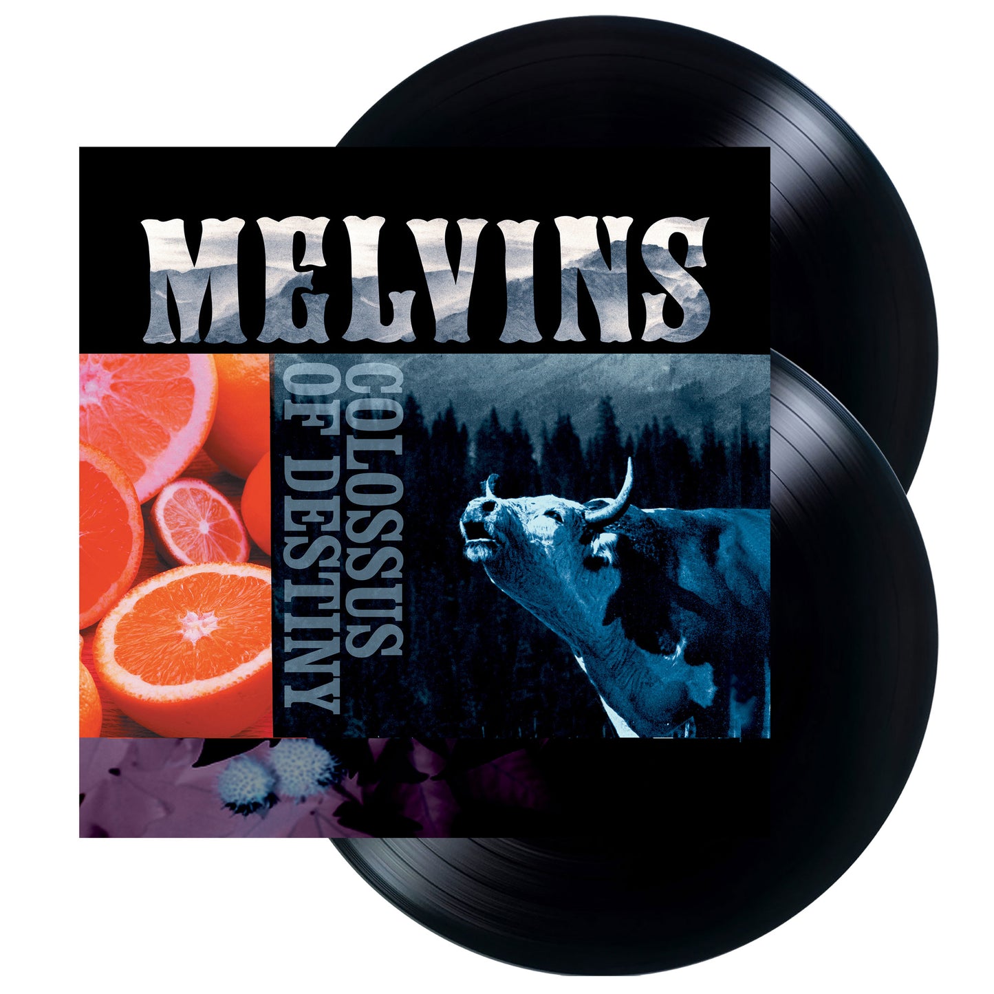 Melvins "Colossus of Destiny" 2xLP