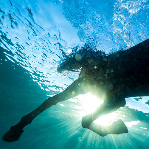 PRE-ORDER: Dream Nails "You Wish" LP