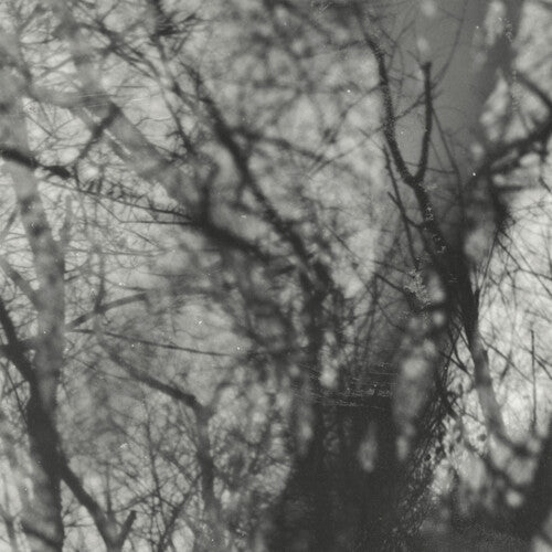 Grouper "Way Their Crept" LP