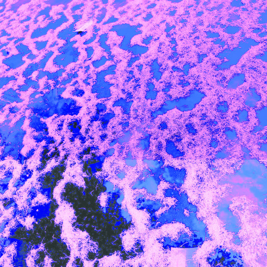 John Dwyer "Gong Splat Sessions" 2xLP (Clear Yellow Vinyl)