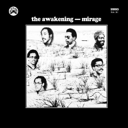 PRE-ORDER: The Awakening "Mirage" LP (Blue/Black Vinyl)