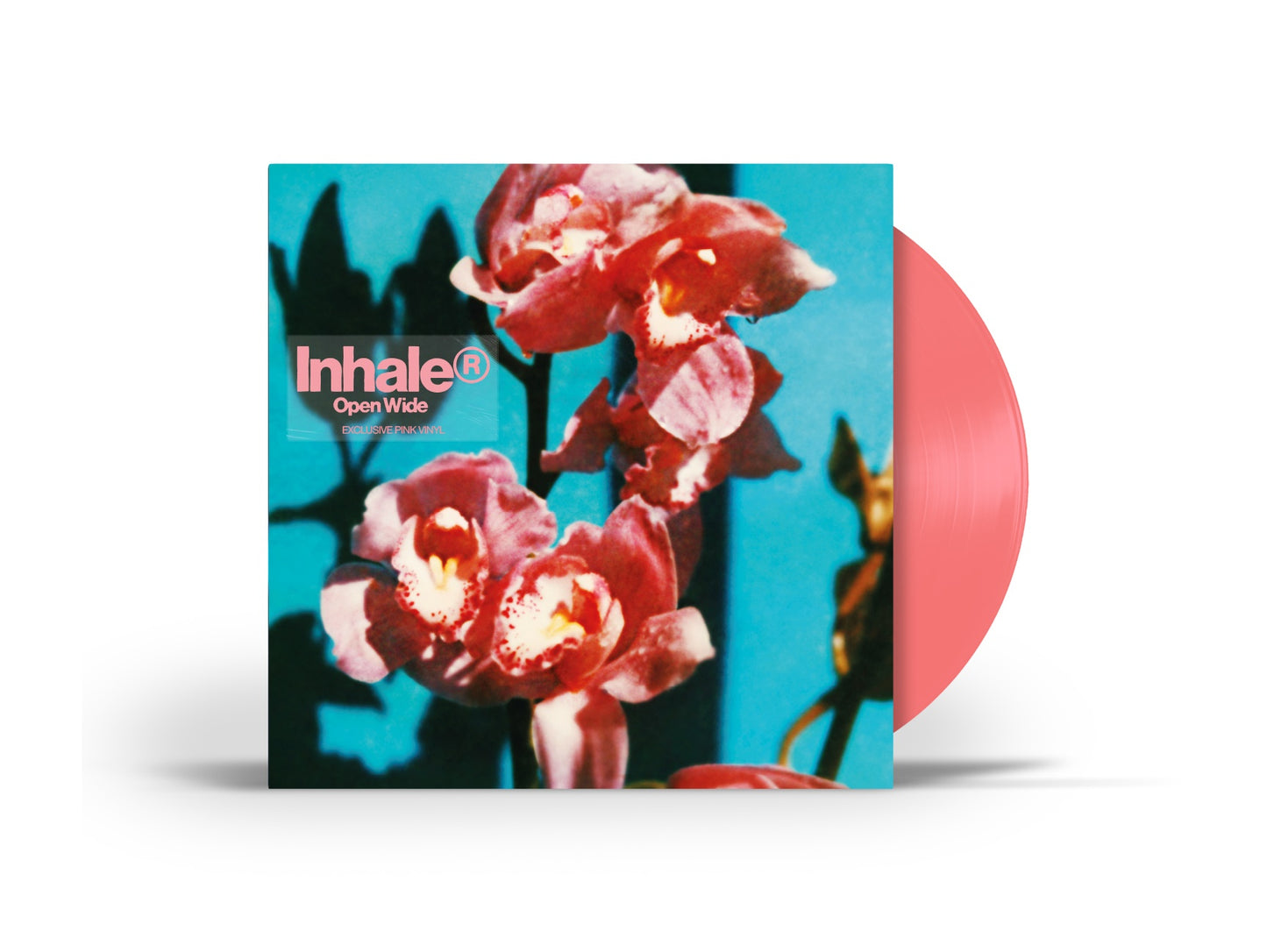 PRE-ORDER: Inhaler "Open Wide" LP (Indie Exclusive Pink Vinyl)