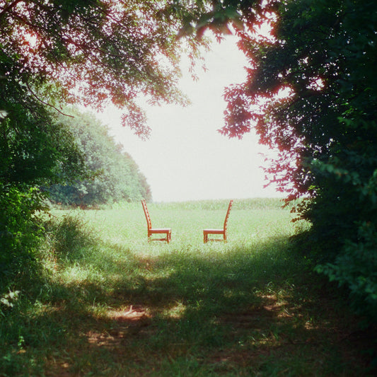 Ratboys "Singin' to an Empty Chair" 2xLP (Indie Exclusive Green and Brown Marble Vinyl)