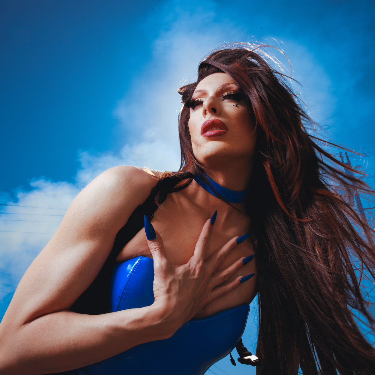 PRE-ORDER: Alaska Thunderfuck "The Brunette Album" LP