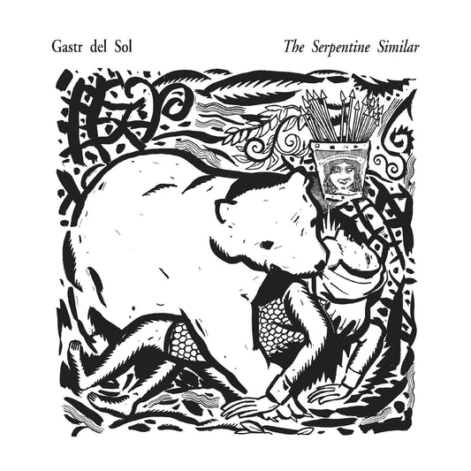 Gastr del Sol "The Serpentine Similar" LP