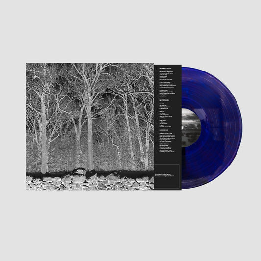 Pile "Sunshine and Balance Beams" LP (Transparent Mix Boris Purple Vinyl)