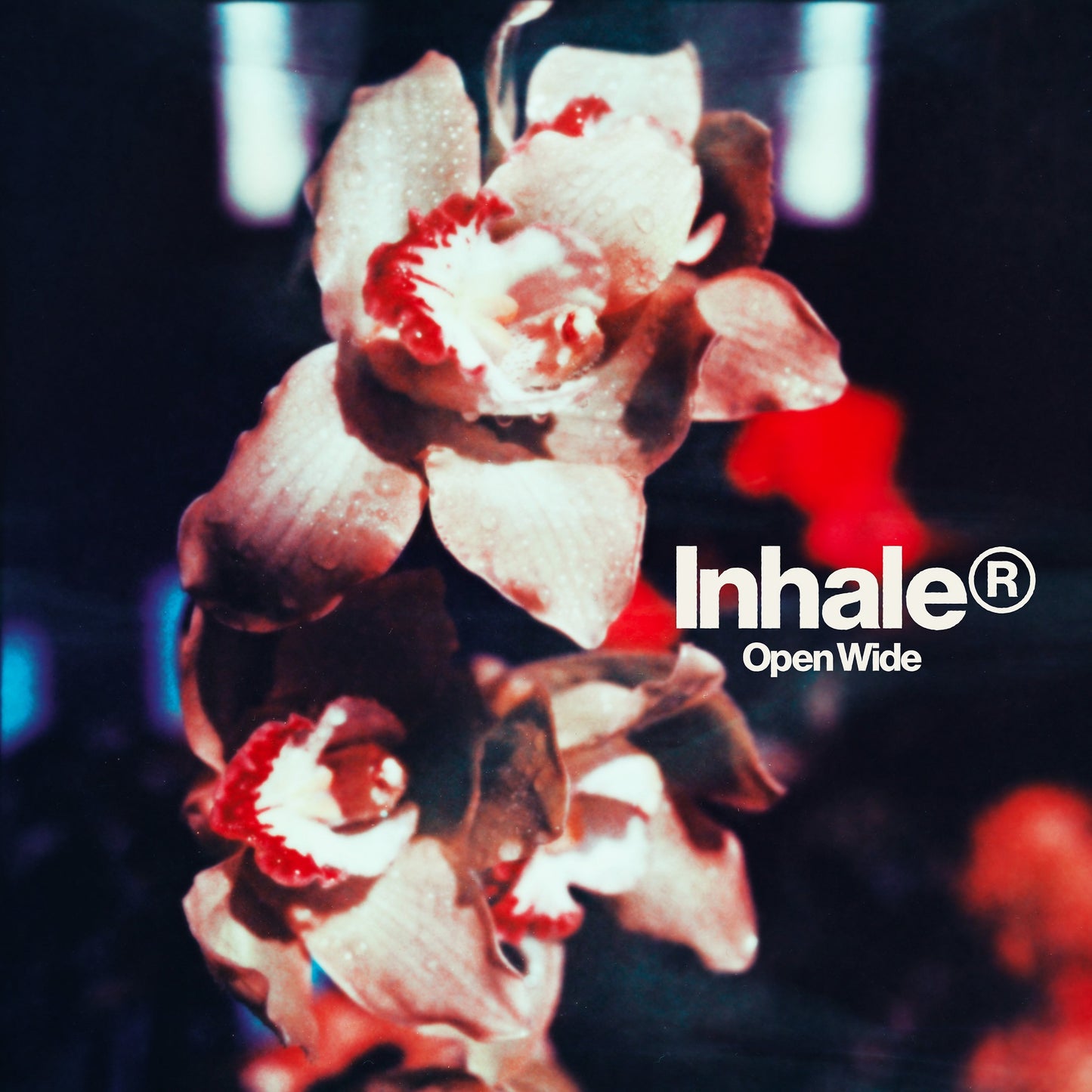 PRE-ORDER: Inhaler "Open Wide" LP