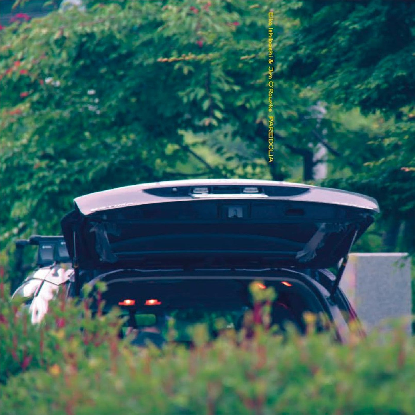 Eiko Ishibashi & Jim O'Rourke "Pareidolia" LP