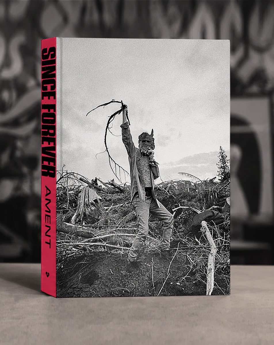 PRE-ORDER: Jeff Ament "Since Forever" Book