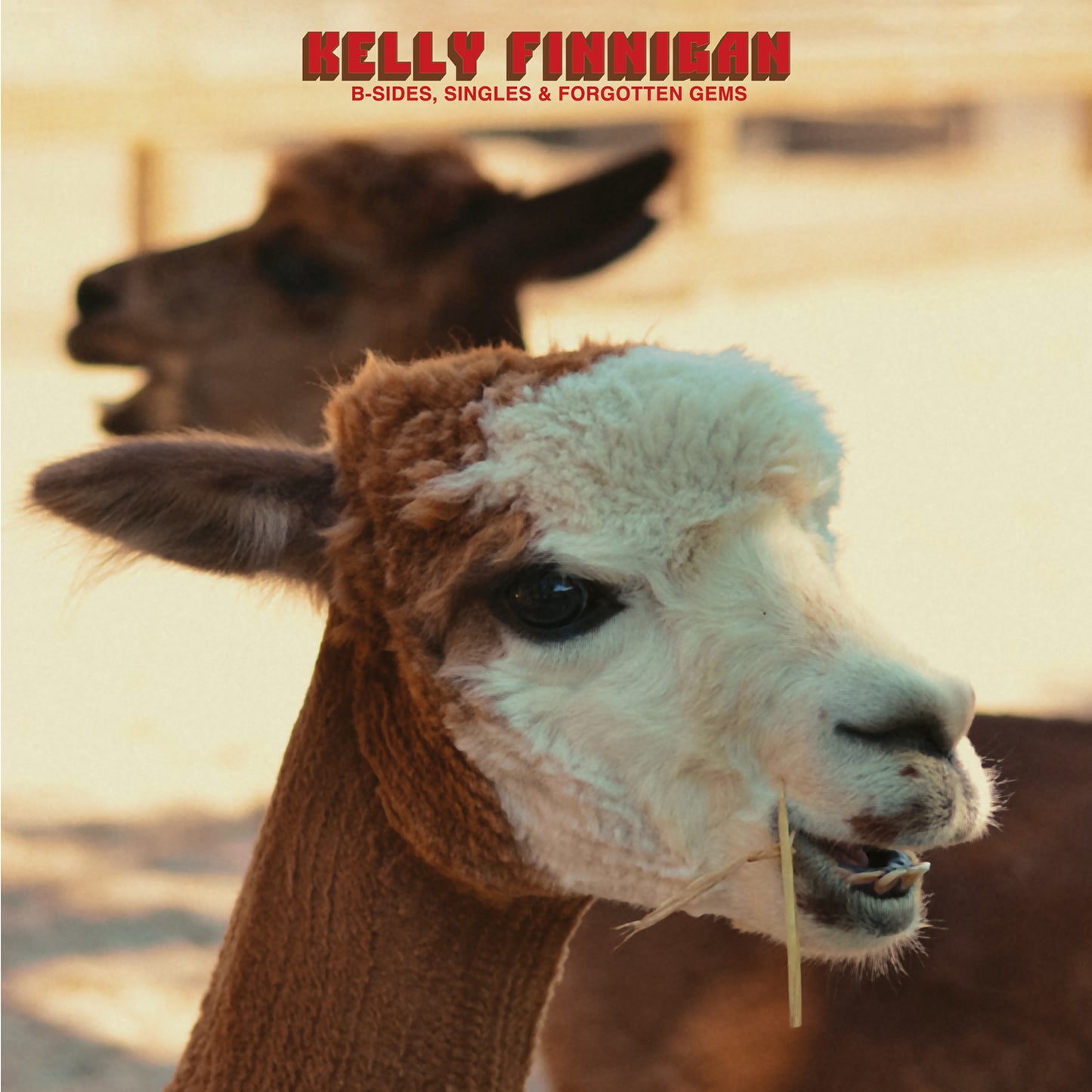 PRE-ORDER: Kelly Finnigan "B-Sides, Singles & Forgotten Gems" LP